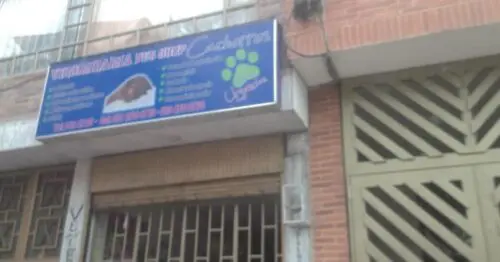 VETERINARIA PET SHOP CACHORROS VETERINARIA PET SHOP CACHORROS
